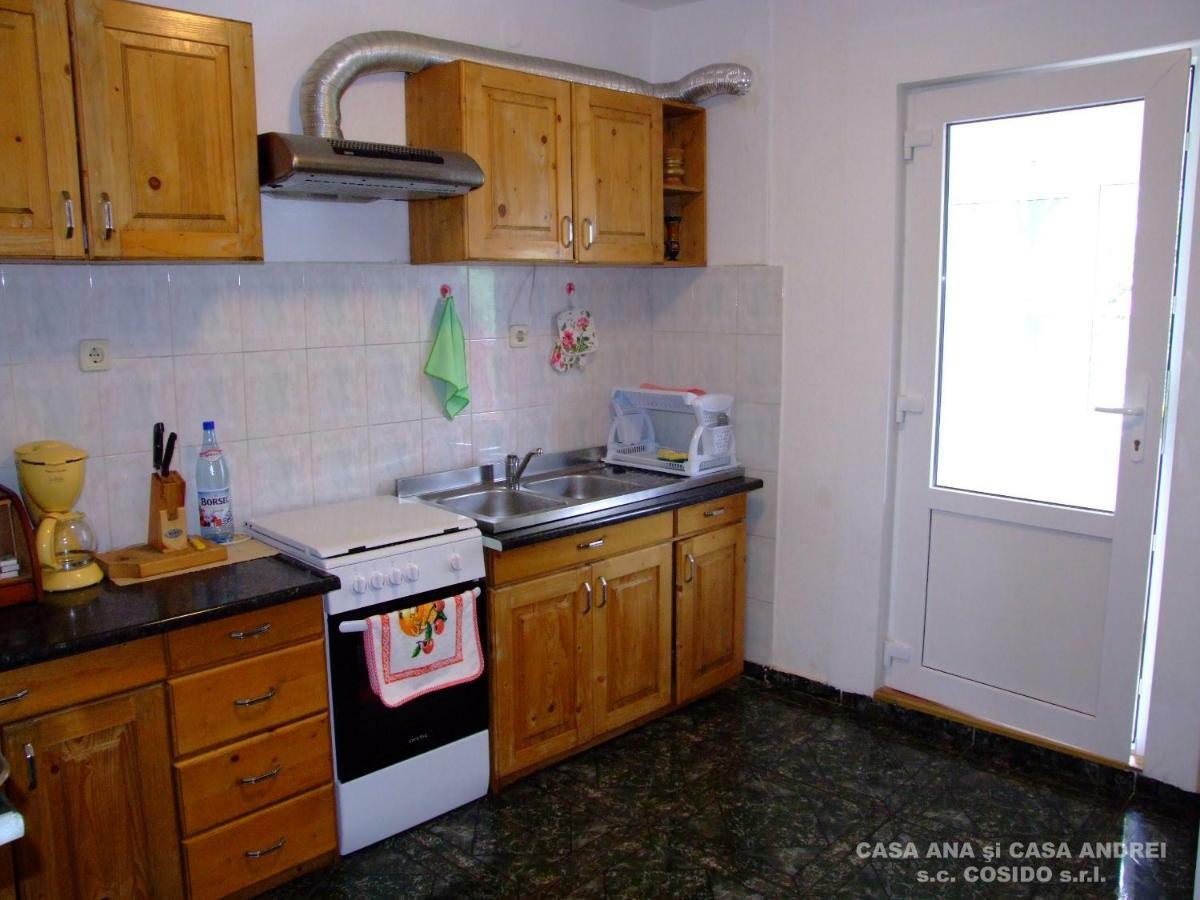 Dealu Floreni Casa Andrei Vatra Dorneiヴィラ エクステリア 写真