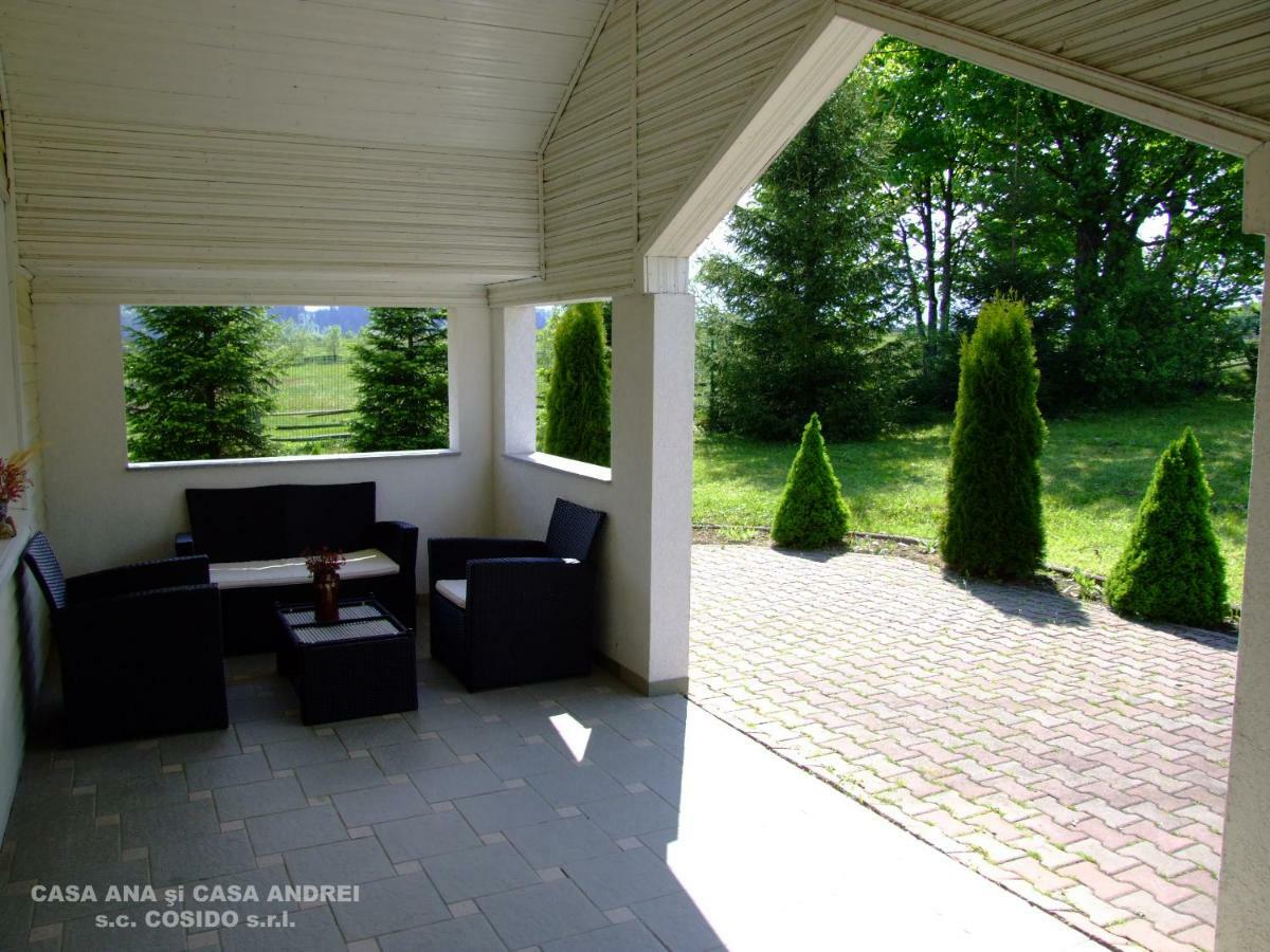 Dealu Floreni Casa Andrei Vatra Dorneiヴィラ エクステリア 写真