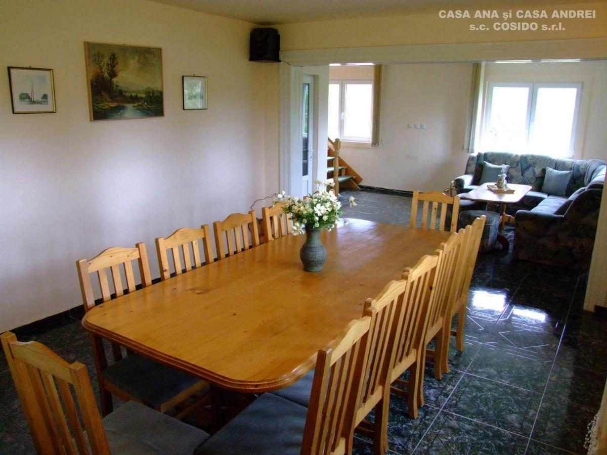 Dealu Floreni Casa Andrei Vatra Dorneiヴィラ エクステリア 写真