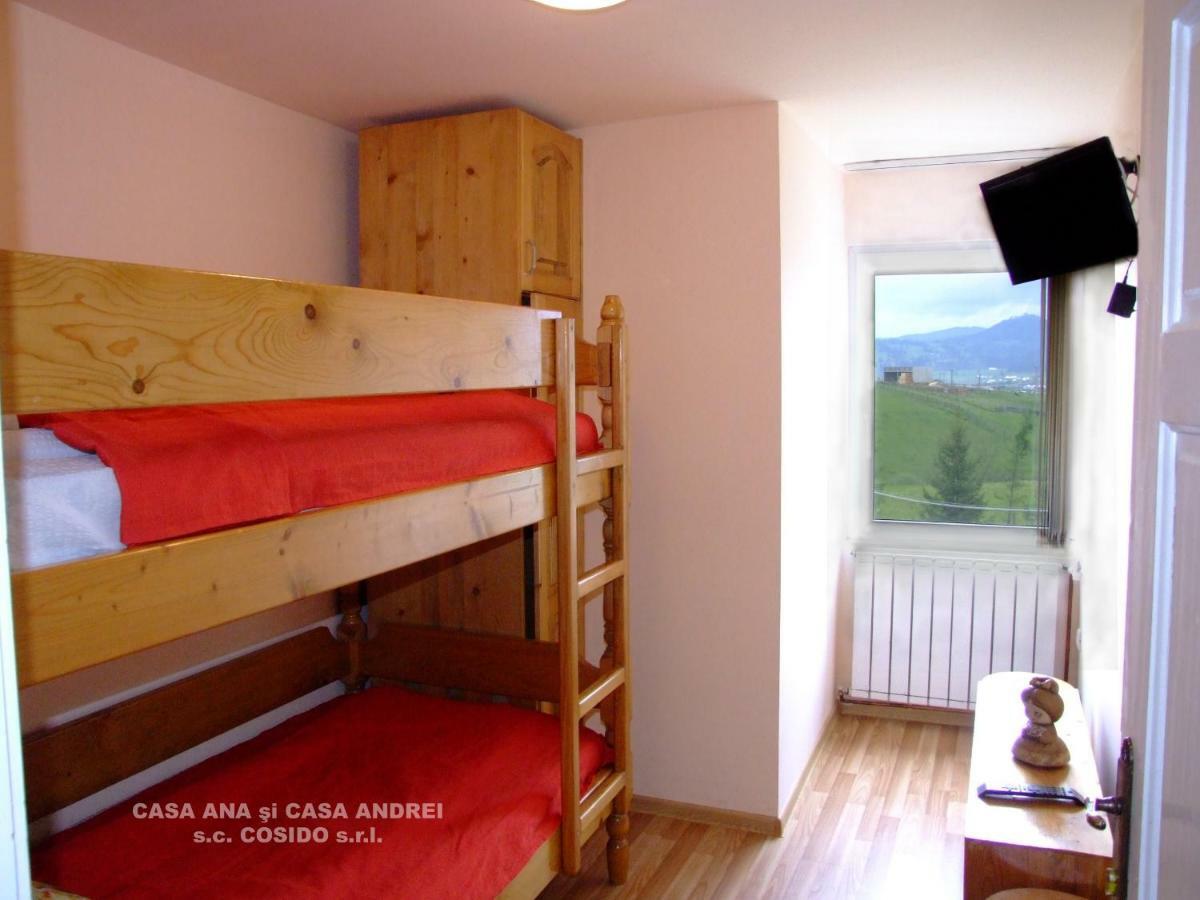 Dealu Floreni Casa Andrei Vatra Dorneiヴィラ エクステリア 写真